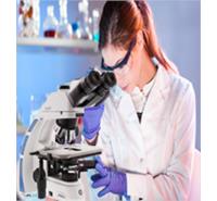 Microscope